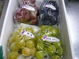 ジュアン　葡萄研究所の高級葡萄が今年も・・・