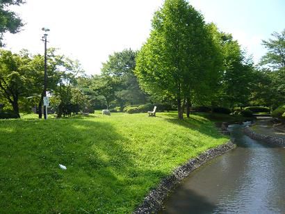 ジュアン「今朝のつつじ公園で」