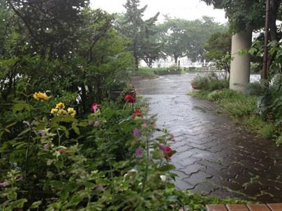 ジュアン「大雨です」