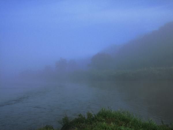 このガスはfog？　それともmist？
