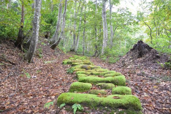 イザベラ・バードが越えた山