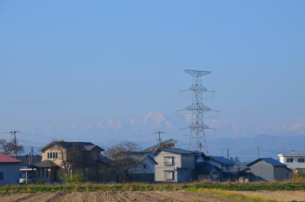 気ぜわしく　小春日和に　雪囲い