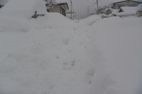雪の朝　これでいいのか