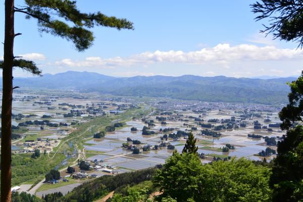 これぞ長井の２ショット