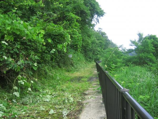 「トロッコ道」歩きやすくなったかな？