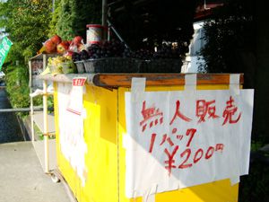 果樹王国山形