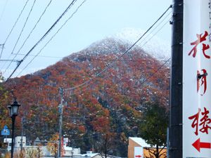 雪帽子