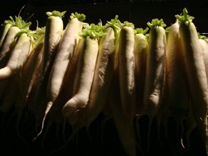 暗闇にドキッ