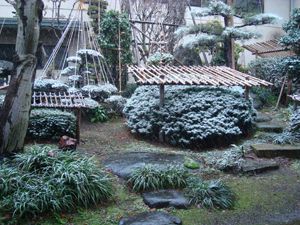 粉雪