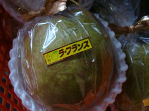 あけましておめでとうございます