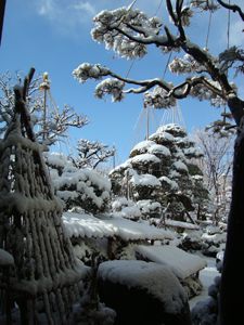つかの間の青空