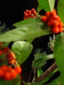 巨大生け花撤収