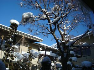青き空広がる
