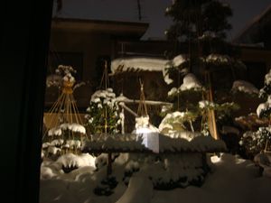 見逃す