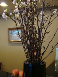 真冬の桜