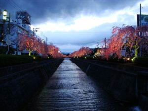 ライトアップ　ラストナイト