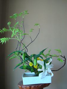 まだまだ