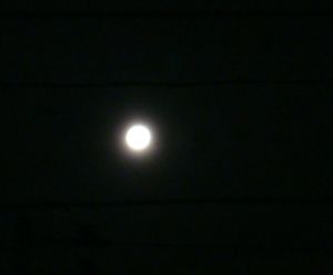 月夜