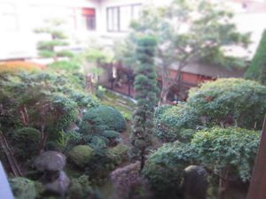 種蒔き
