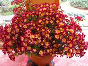 花