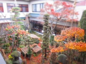 雪囲い