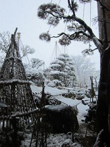 雪