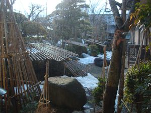 夢をのせて