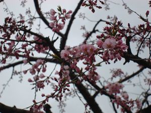 絆