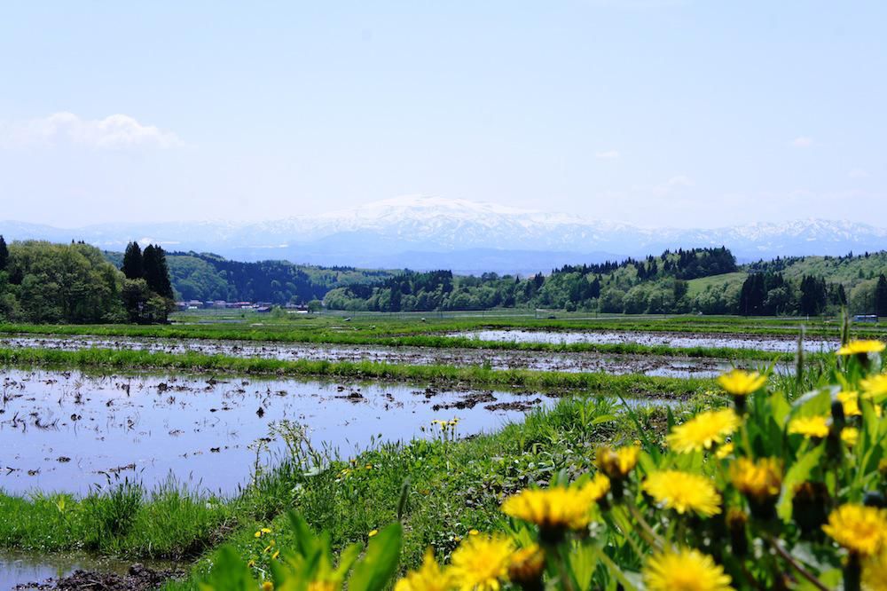 田園風景（春） 