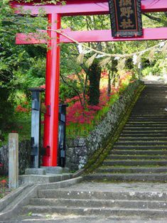 秋の「お祭り・行楽」のシーズンです･･･