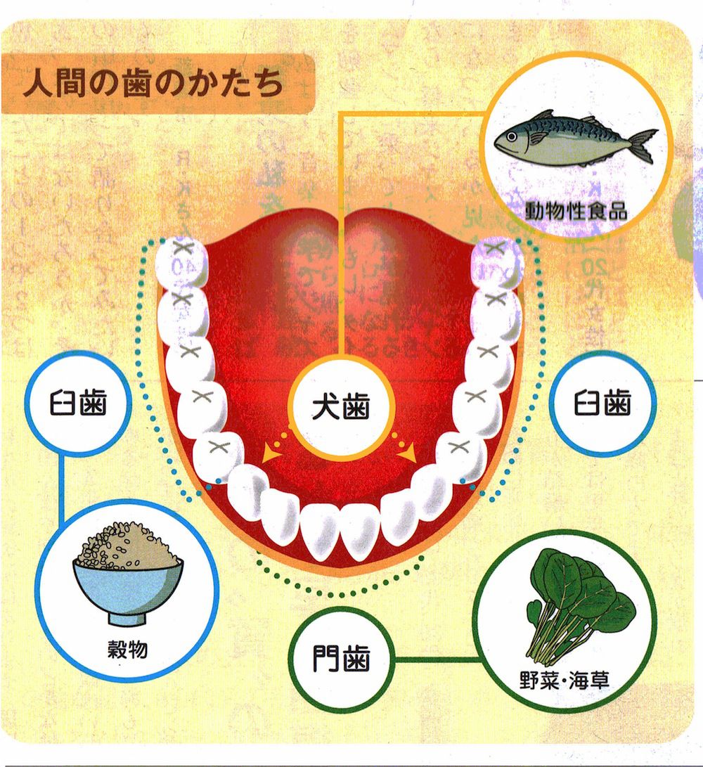 健康生活の条件