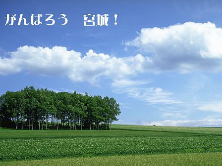 -----　被災された皆様へ　-----　