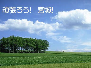 平成24年度も申請受付を行う制度