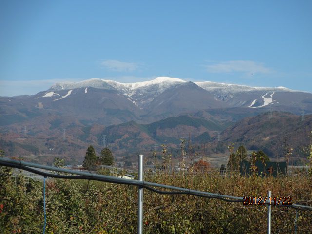 蔵王連峰がきれいです・・・上山観光フルーツ園