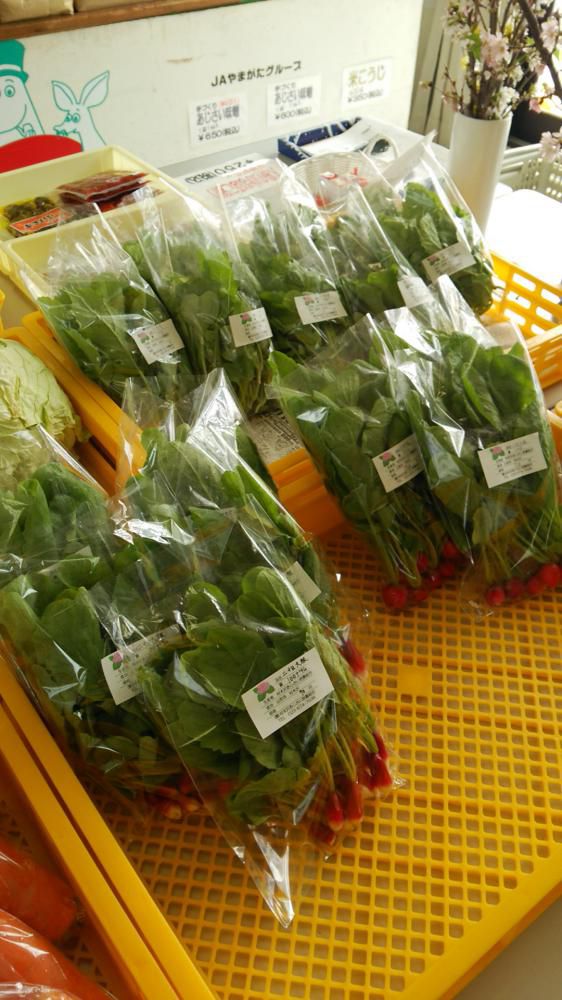 ハウス内野菜販売中