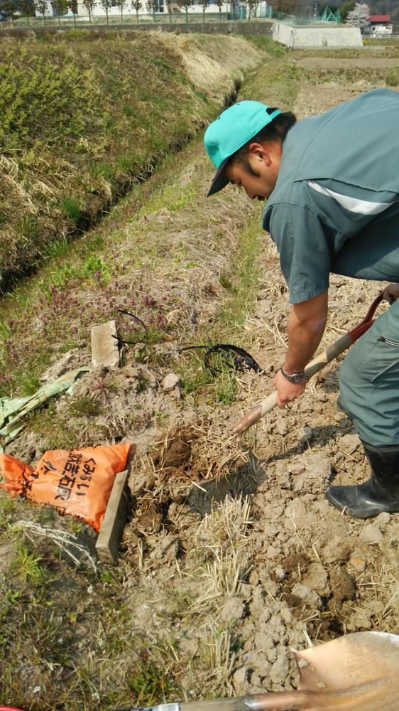 水田の水口のせき止め作業