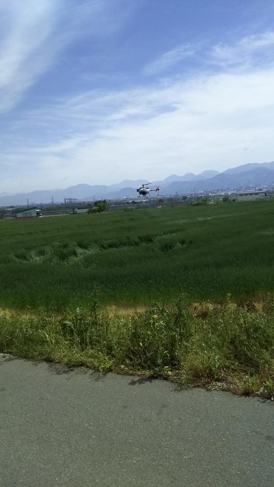 小麦の防除