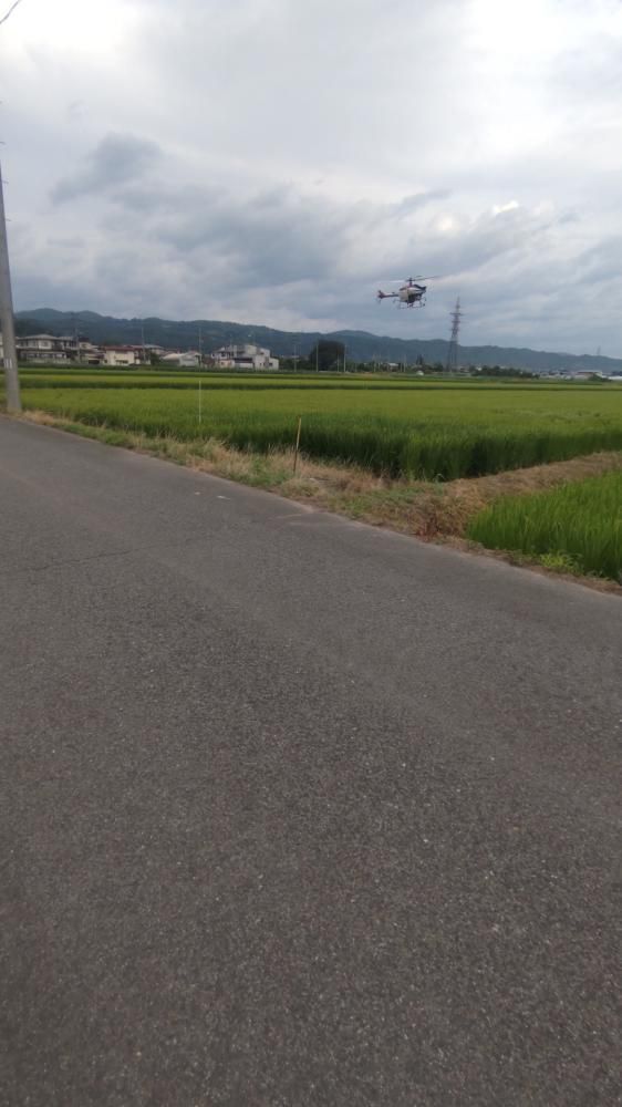 水稲病害虫防除