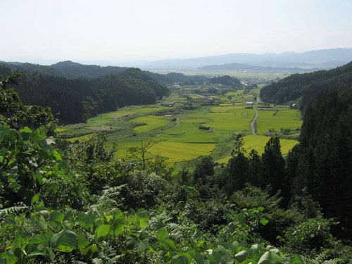県道29号線