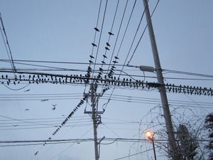 憤慨しております！
