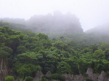 丸一日雨の予報です。