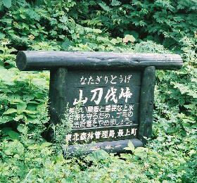 本命