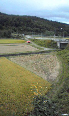 予報では・・・。
