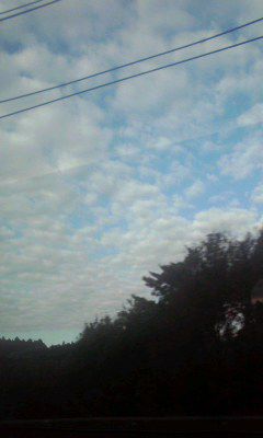 いわし雲？