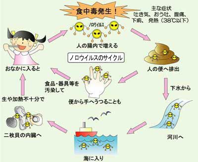 ノロ・ウイルス