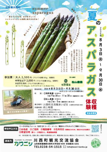 2026年8~9月「夏のアスパラガス収穫体験」参加者募集中