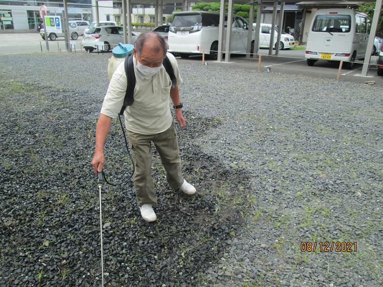 明日からお盆ですね
