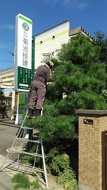 まもなく紅葉の秋が来ます