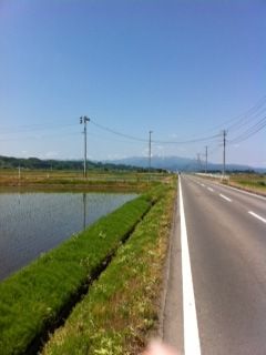 ハーフマラソン練習(さくらんぼマラソンへ)