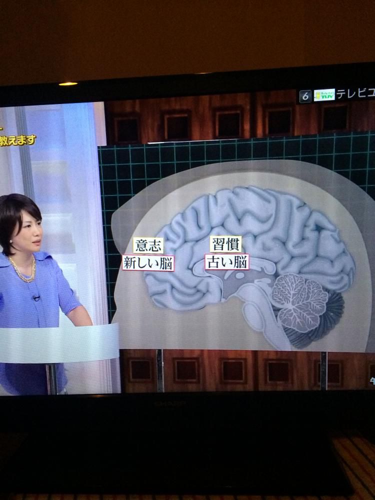 脳の働き